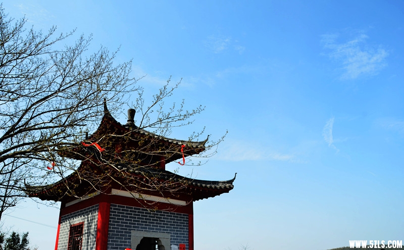 DSC_8161__.jpg