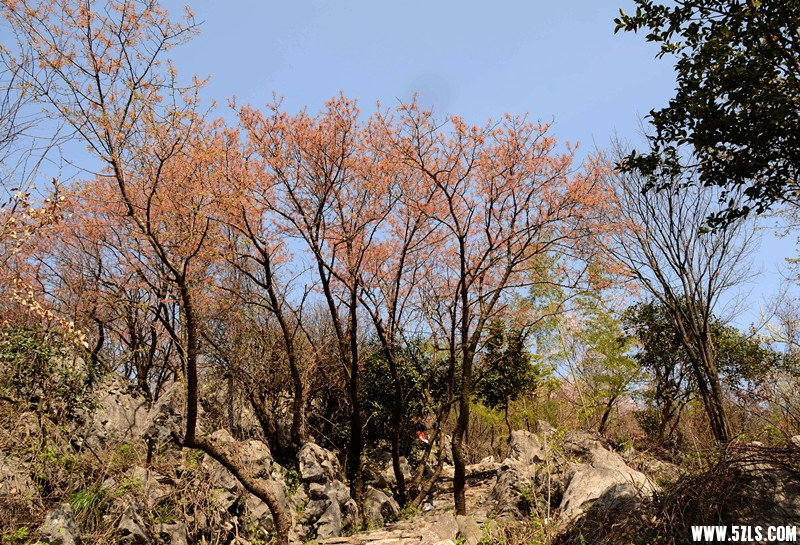 DSC_8267__.jpg