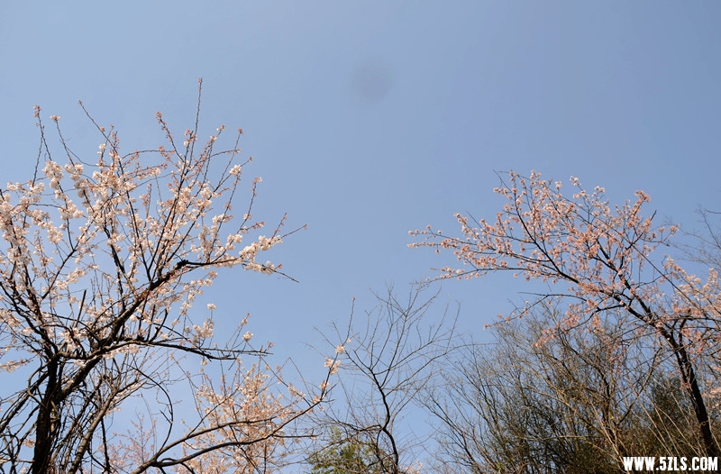 DSC_8285__.jpg