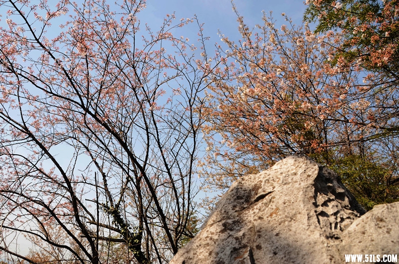 DSC_8297__.jpg