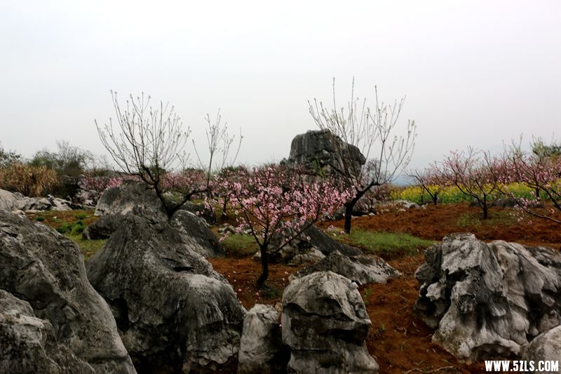 IMG_8072_副本.jpg