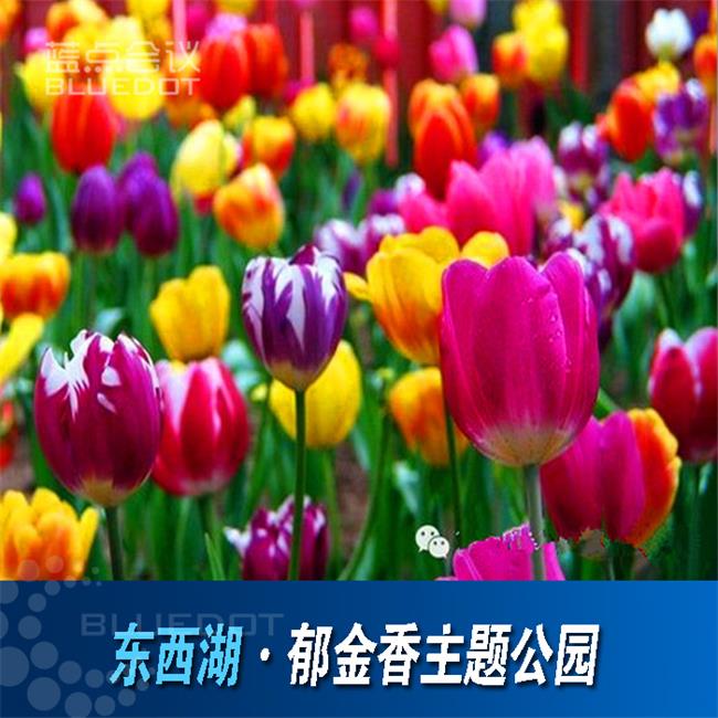 201403291110546355.jpg