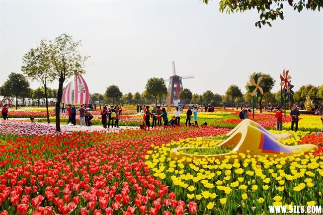 152442oxshk7umjzo7h6x6.jpg