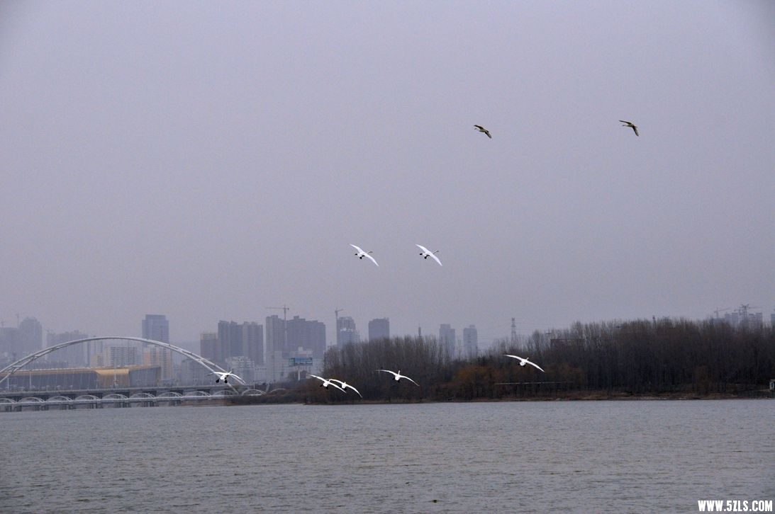 DSC_0095_.jpg