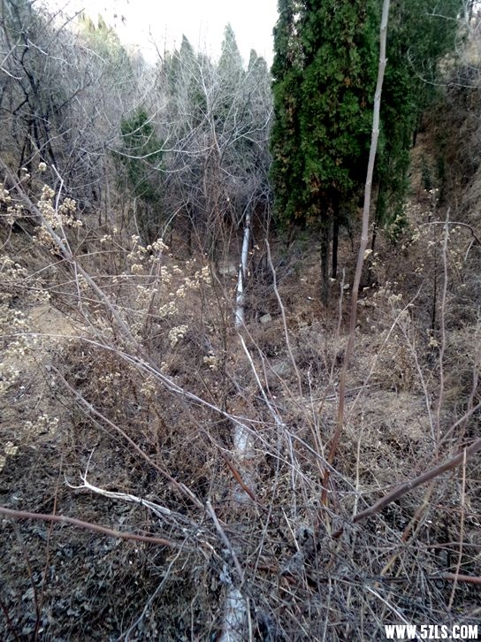 20160224_092241_.jpg