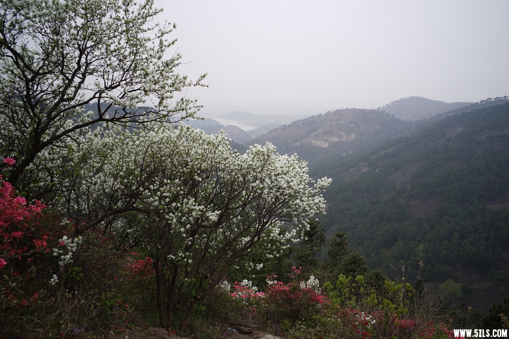 DSC03774.JPG