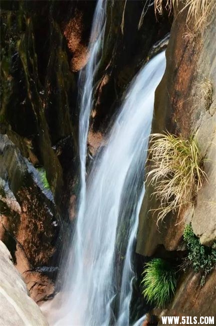 64017.webp.jpg