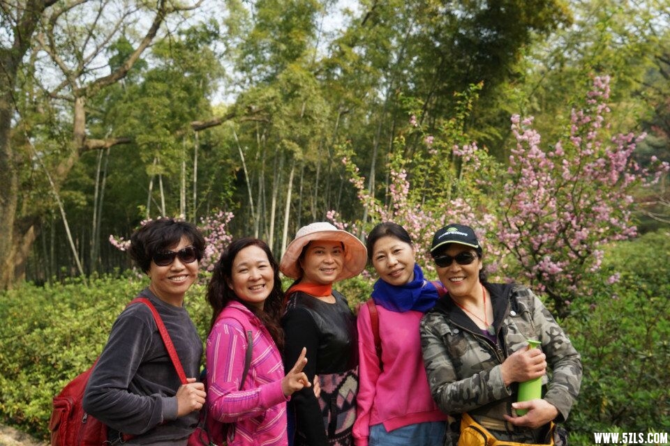 QQͼƬ20160322183218.jpg