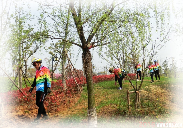CIMG2005.JPG