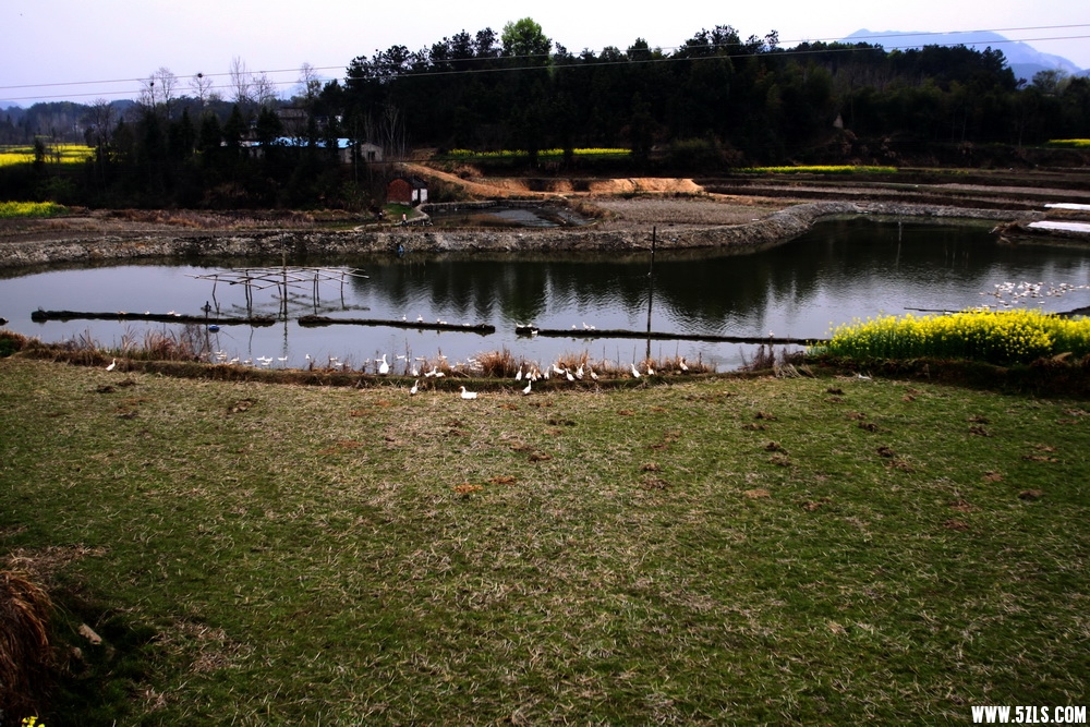 IMG_8989.JPG