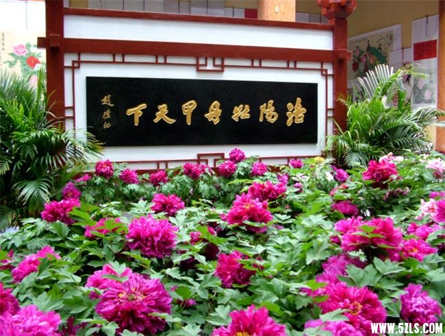 61d2777dx8fbfe188ee06&amp;690.jpg