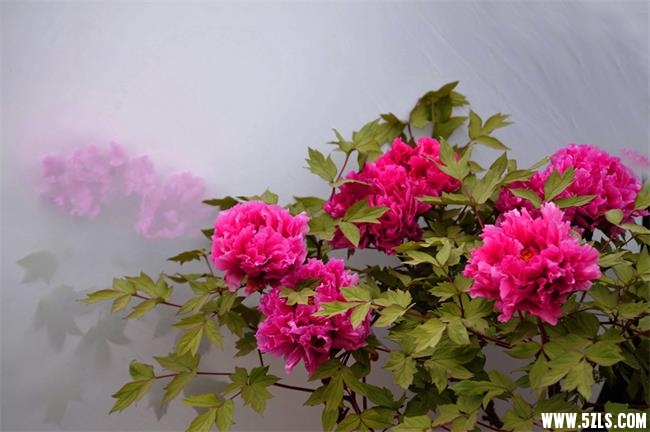 20130427123834519.jpg