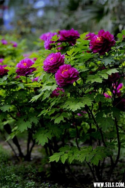a15719609_01000.jpg