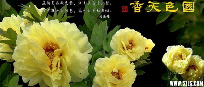 QQͼƬ20160403172544.jpg