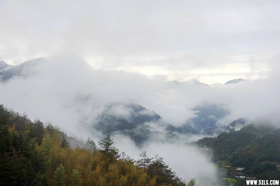 _DSC4313__.jpg