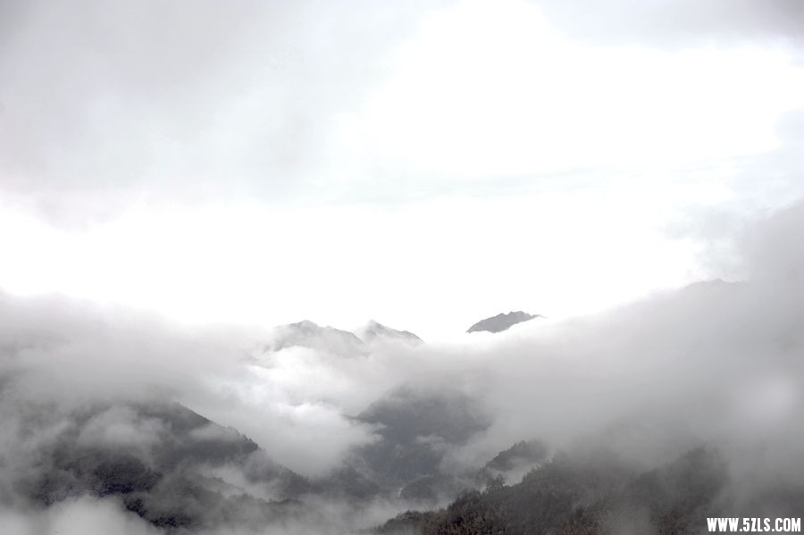 _DSC4316__.jpg