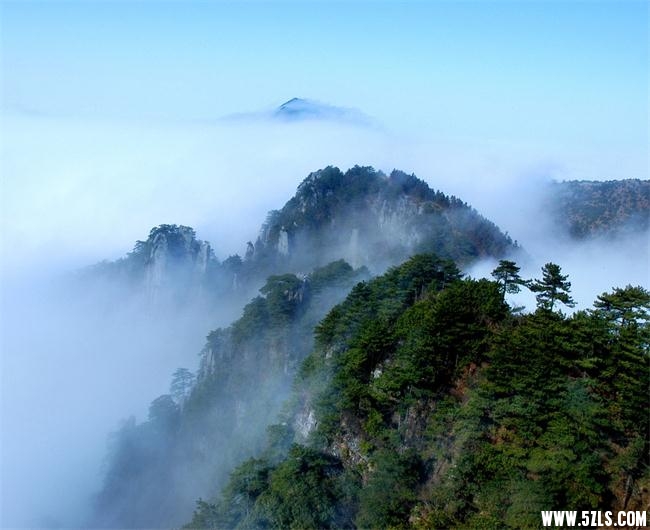104817_112812343000_2_看图王.jpg