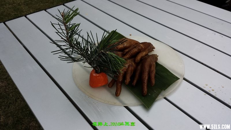 20160416_160034.jpg