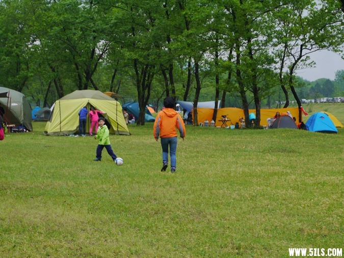 P1260843.jpg
