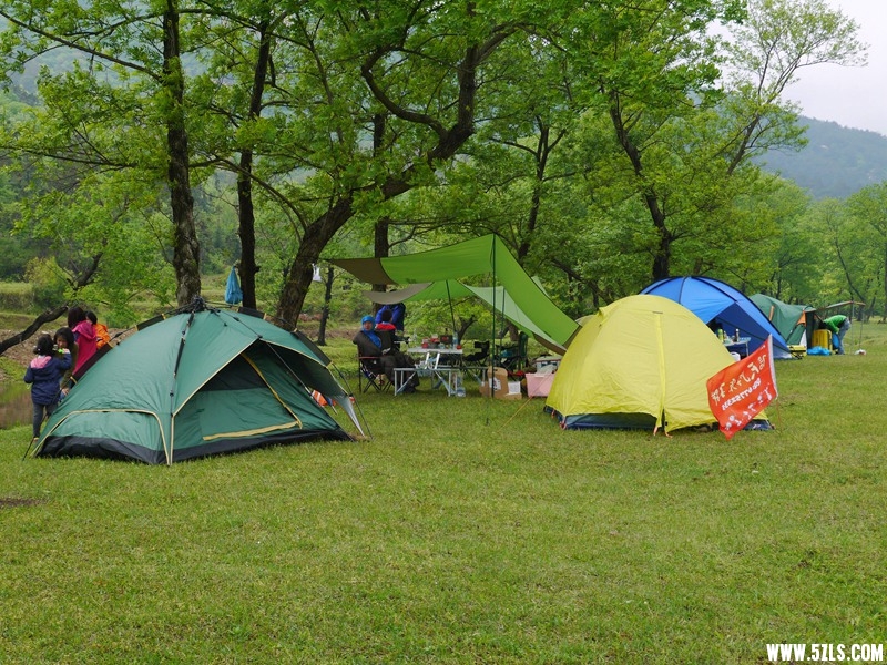 P1260893.jpg