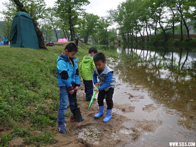P1260855.jpg