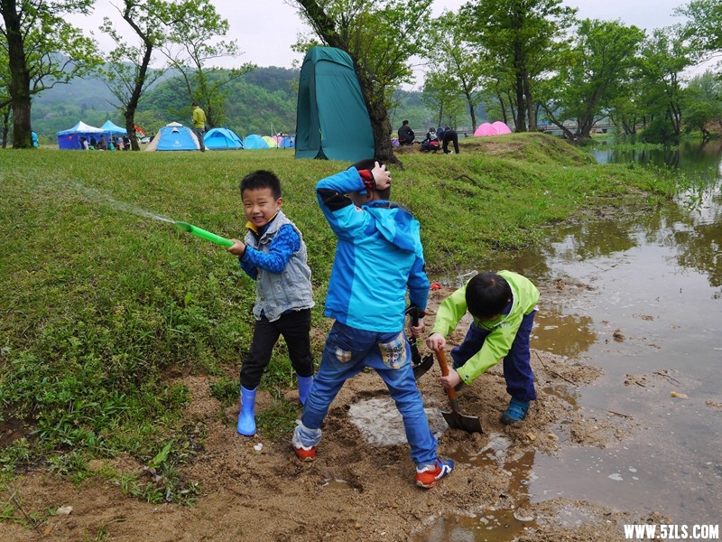 P1260866.jpg