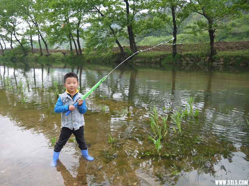 P1260871.jpg