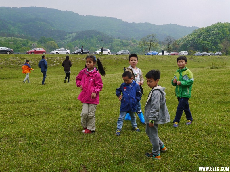 P1260880.jpg