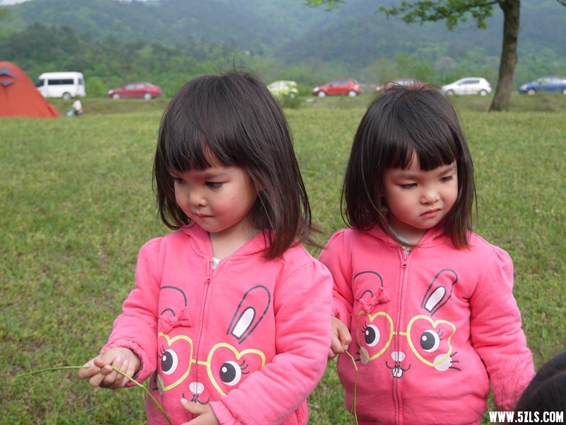 P1270010.jpg