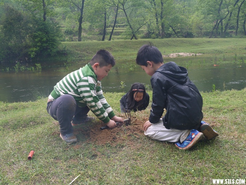 P1260951.jpg