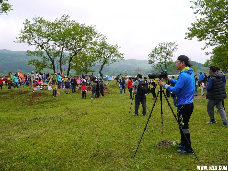 P1260983.jpg