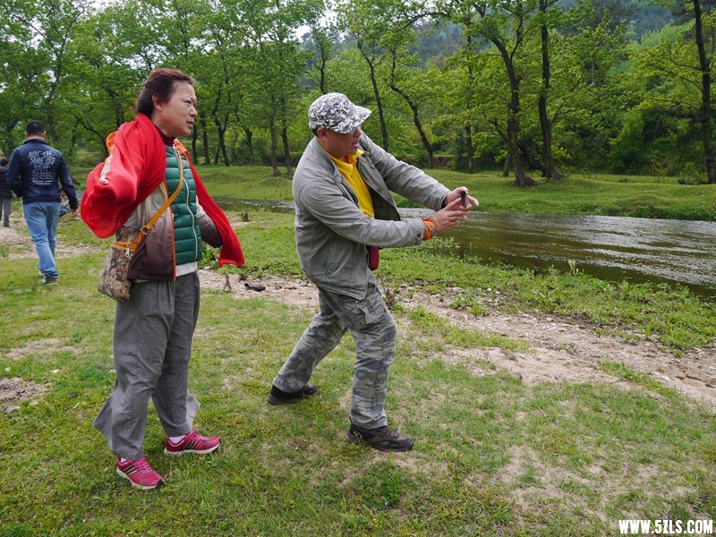 P1260984.jpg