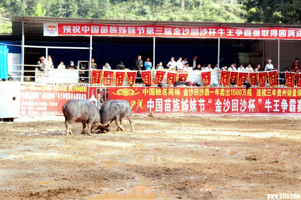 QQͼƬ20160426192407.jpg