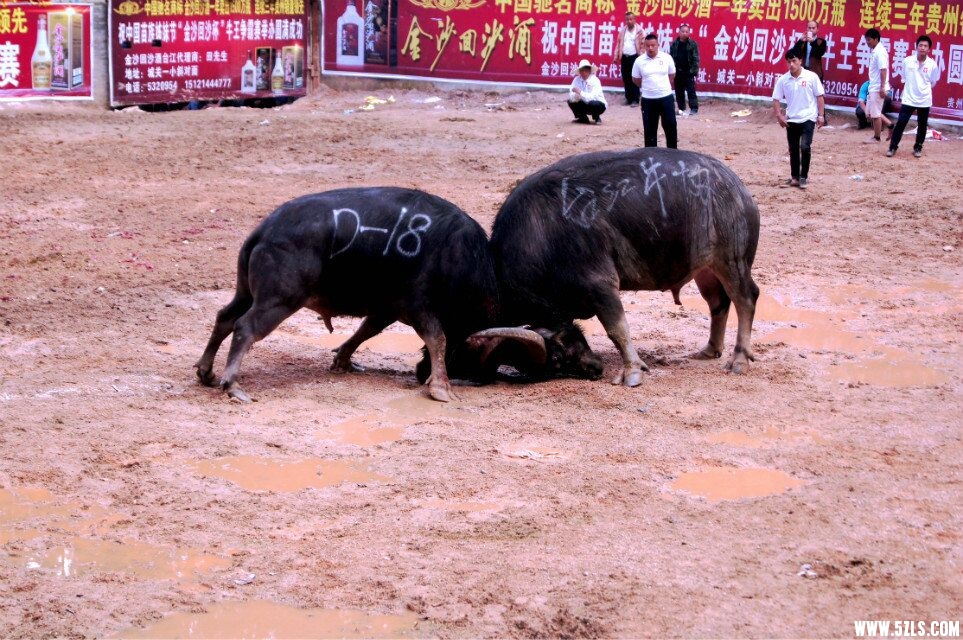 QQͼƬ20160426192455.jpg
