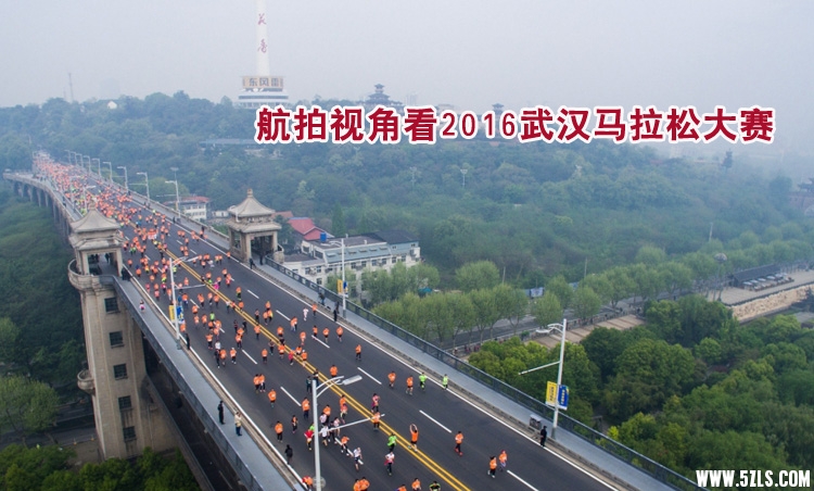 Ƶ2016人ɴ1.jpg
