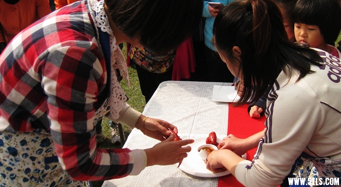 IMG_7525.JPG