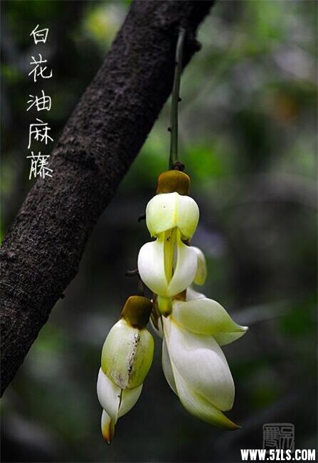 QQͼƬ20160501111558.jpg