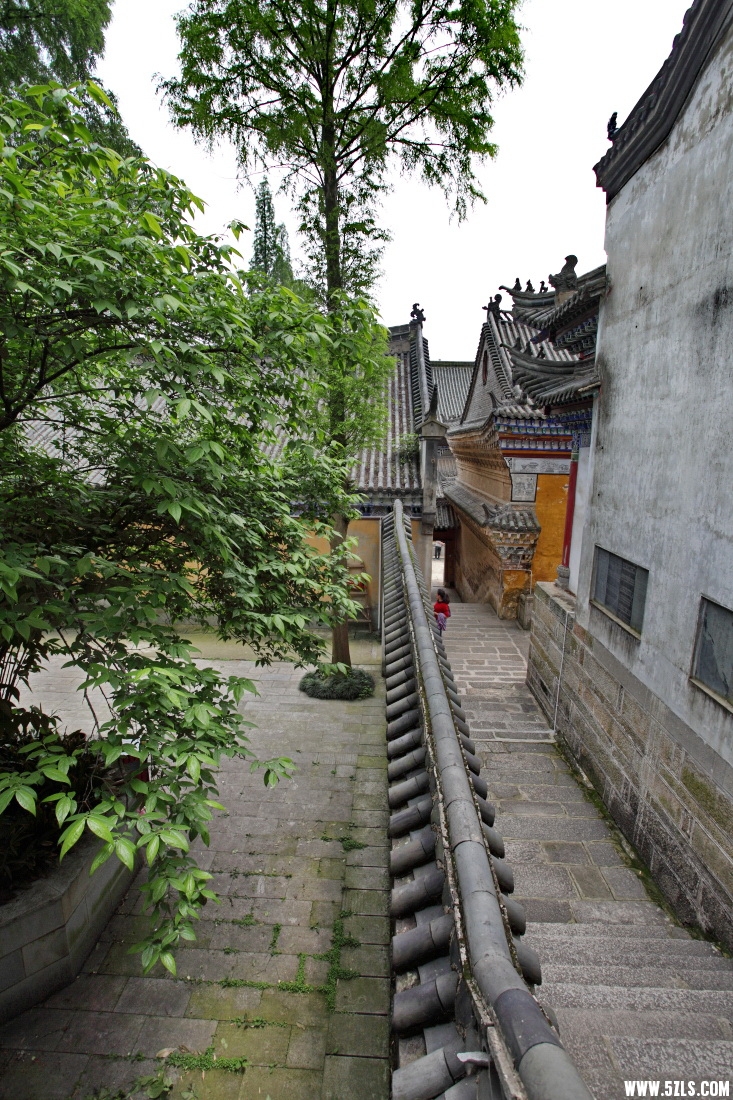 IMG_8251.JPG