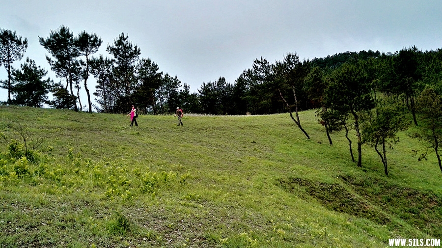 IMG_20160515_104356.jpg