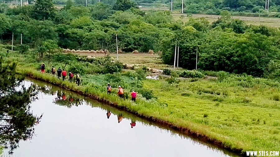 IMG_20160515_105625.jpg