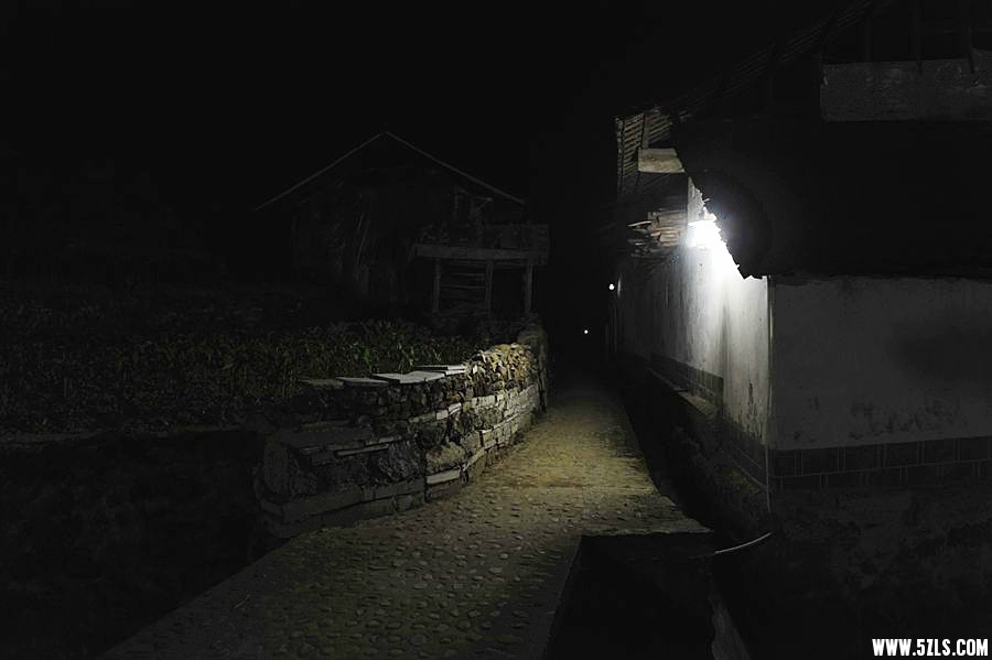_DSC6919__.jpg