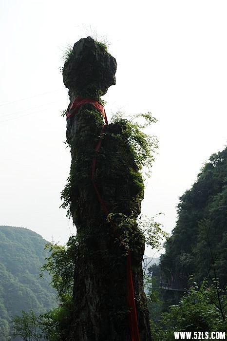 _DSC7139__.jpg
