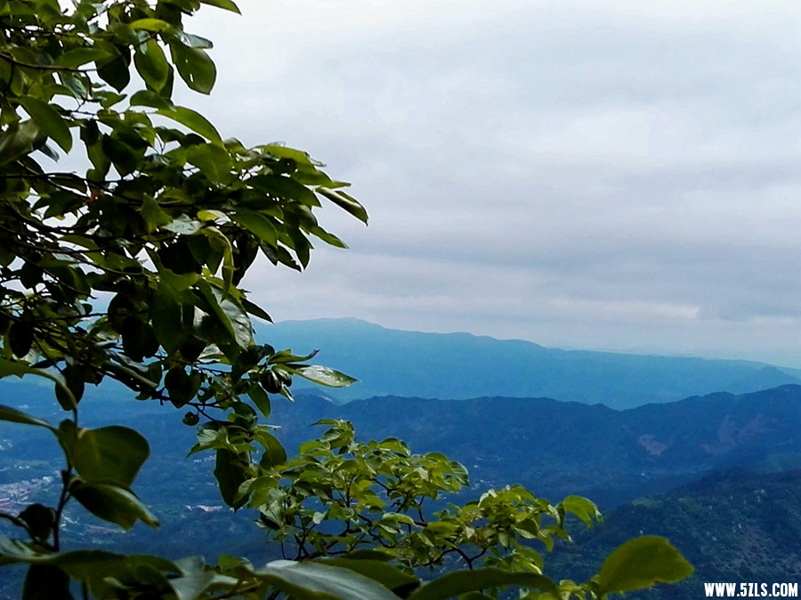 IMG_20160521_115559.jpg