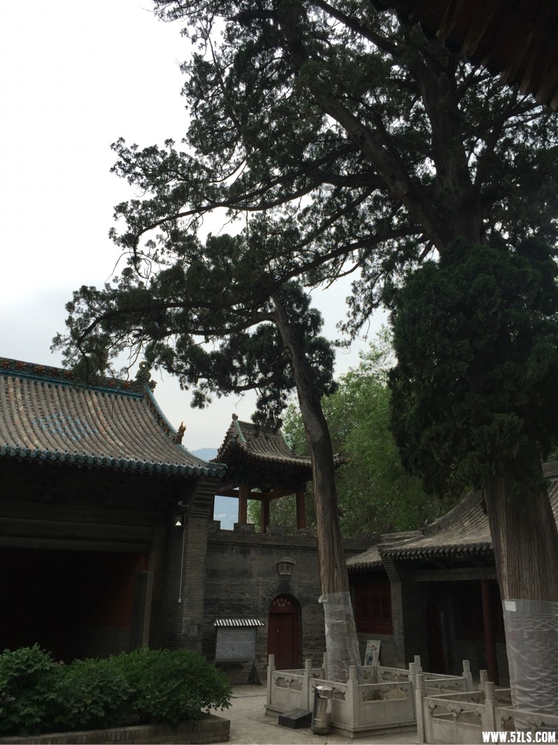 133204lmb2dbfsbiqshruw.jpg
