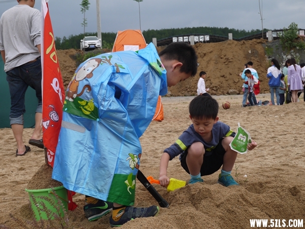P1270819.jpg