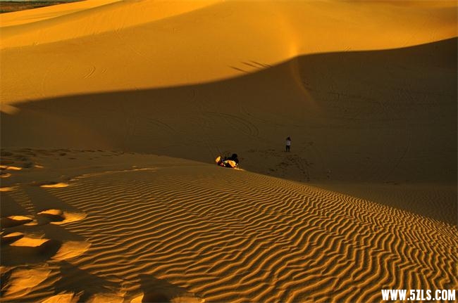 3450_800600.jpg