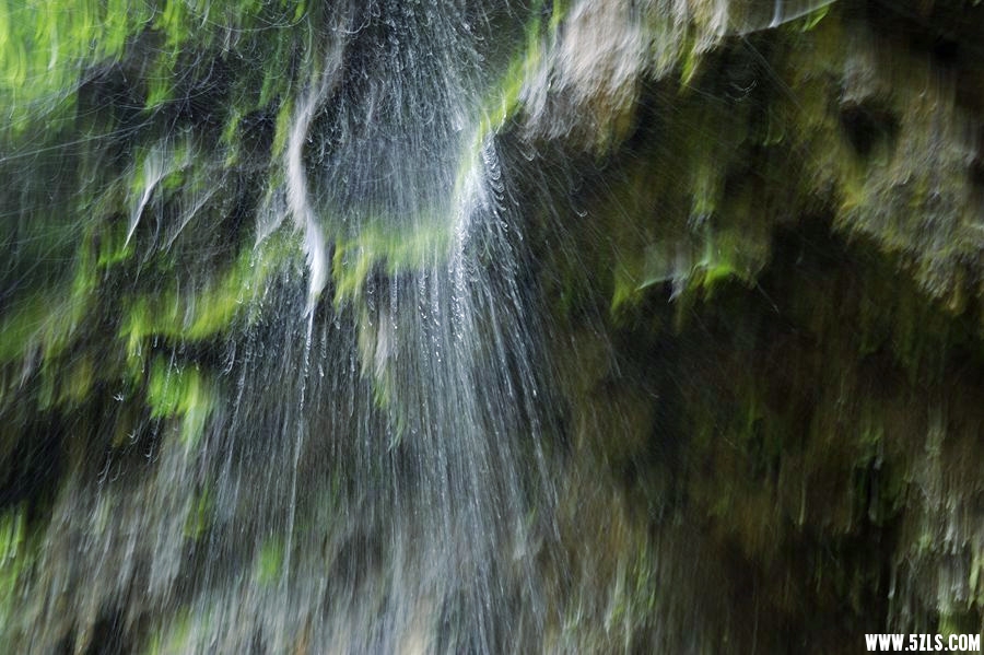 _DSC9194__.jpg