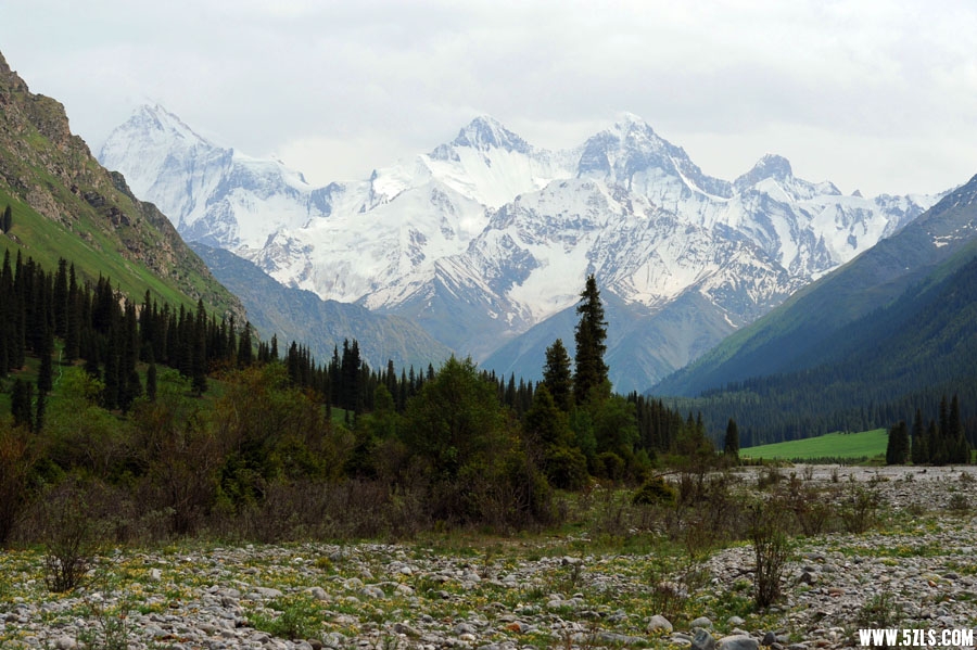 DSC_4997.jpg
