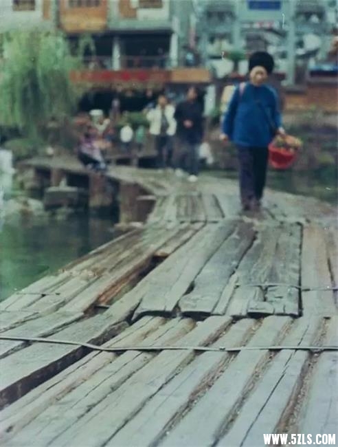 凤凰6.webp.jpg