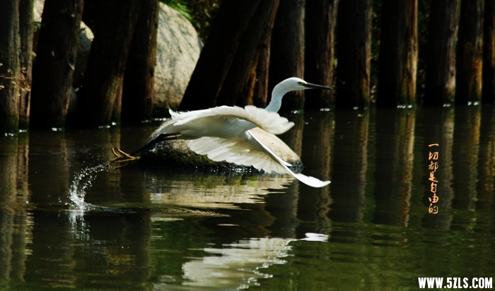 DSC_4194.JPG